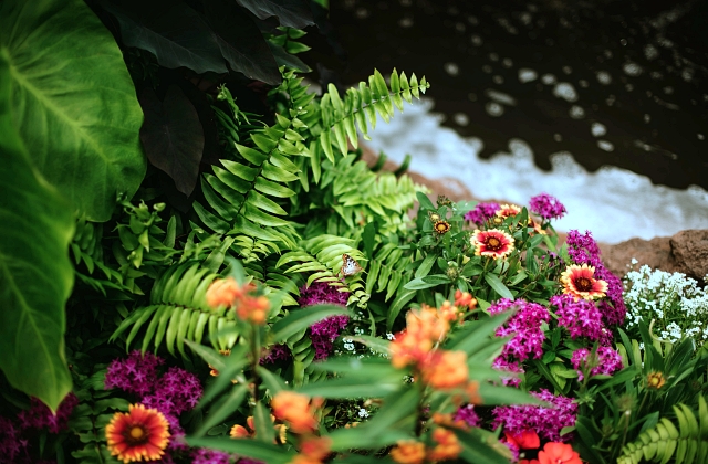 Landscaping Pond